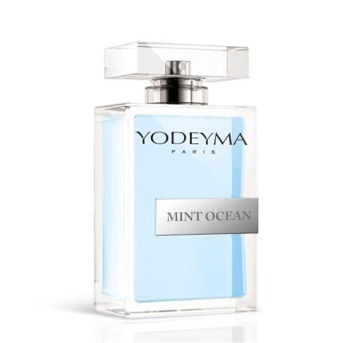 Perfume Mint Ocean Eau de Parfum The Niche Collection Fresh and Aromatic Fragrance Male Fragrance 15-50