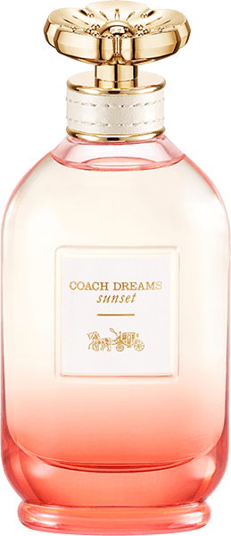 Coach Dreams Sunset