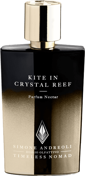 Simone Andreoli Kite in Cristal Reef